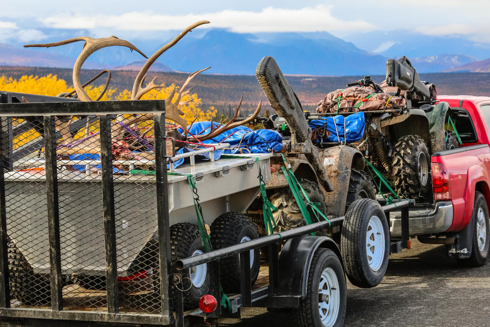 Junk Removal