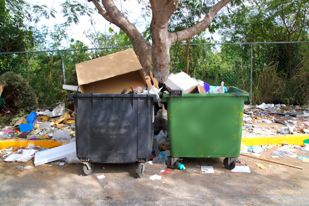 Junk Removal