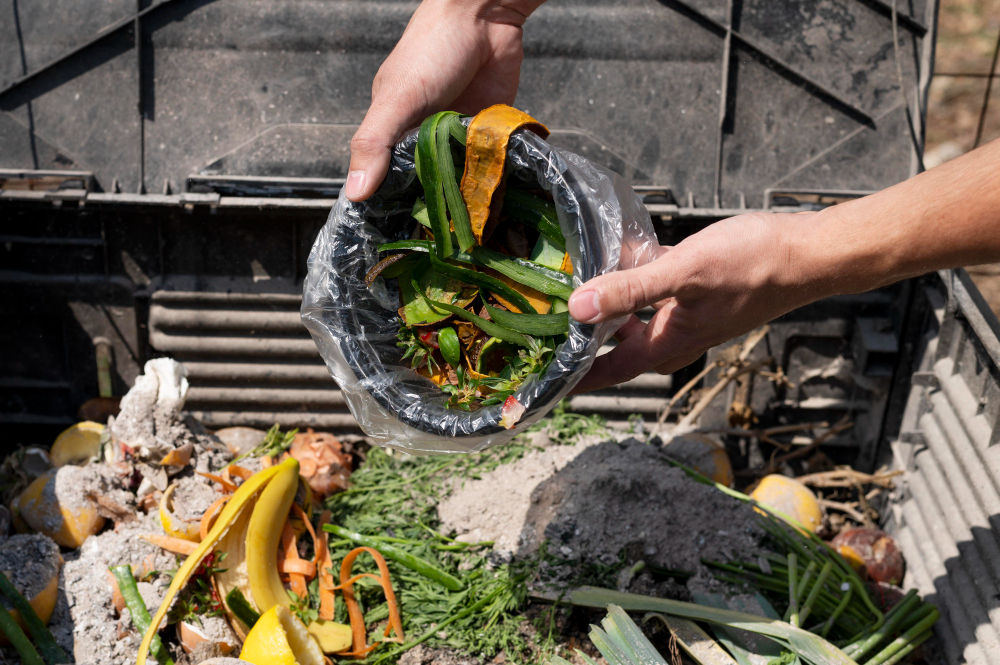 Yard Waste Removal