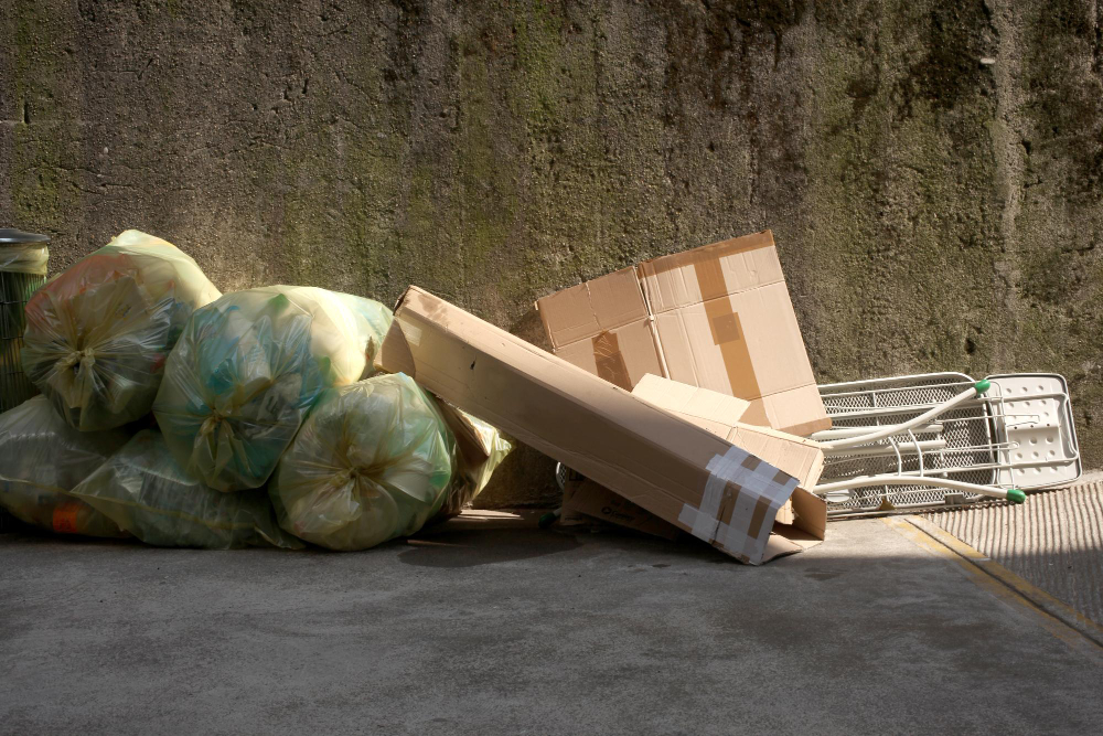 Junk Removal Services