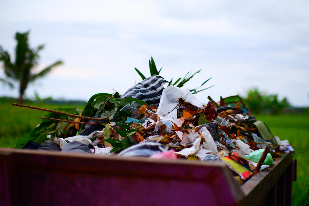 Eco-Friendly Junk Removal