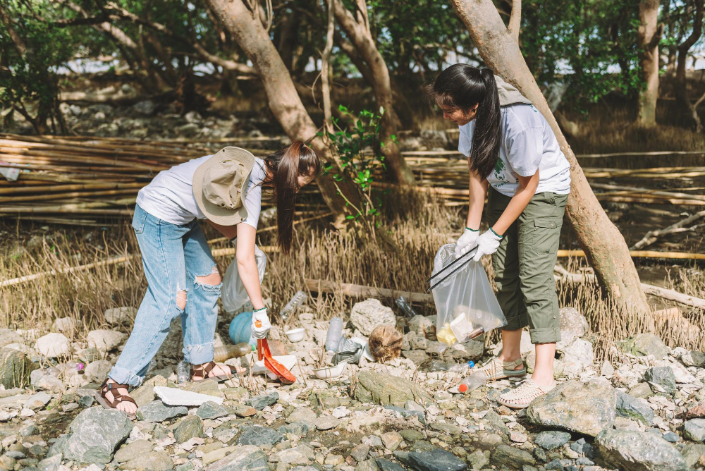 Eco-Friendly Junk Removal