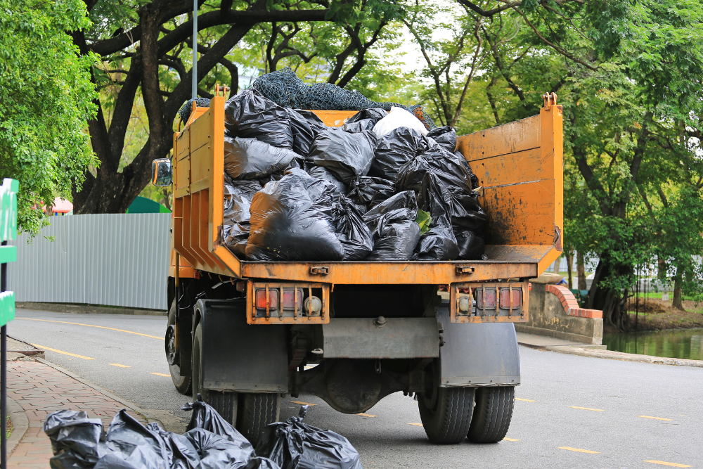 Junk Removal Services