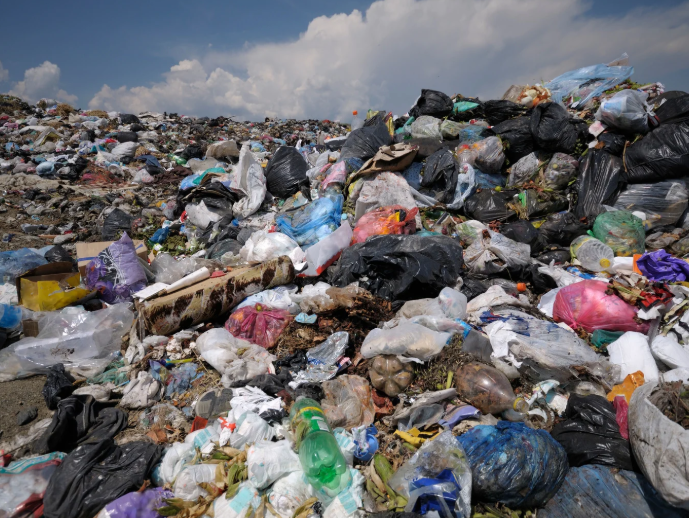Dan’s Dump Run