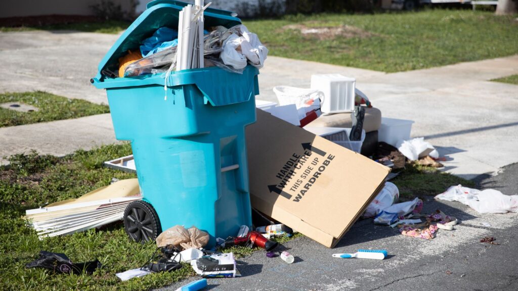 Junk Removal